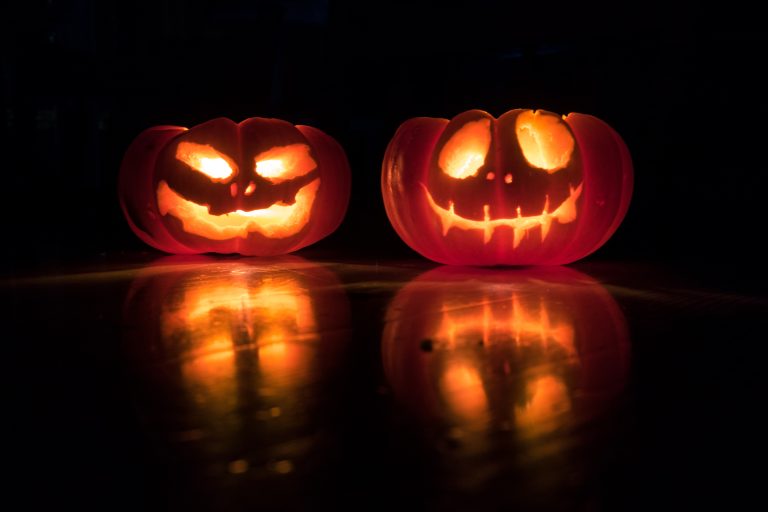 Read more about the article The Dark Side of Halloween: How to reduce waste and the carbon impact.